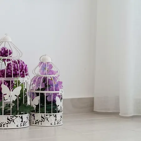 T1 Navegantes 아파트 에리세이라