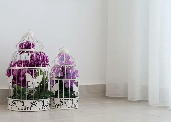 T1 Navegantes アパート エリセイラ