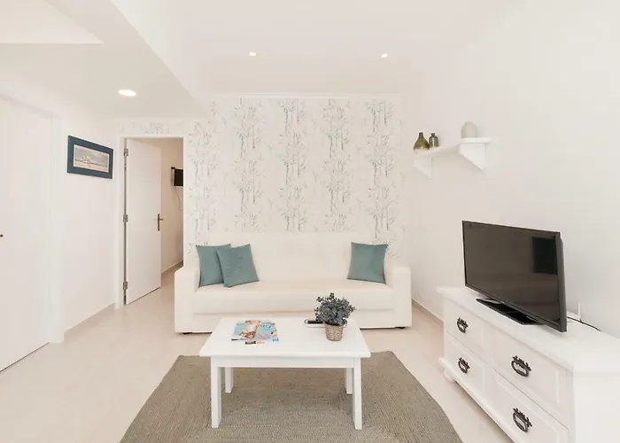 T1 Navegantes * エリセイラ